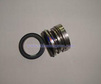 Silicon Carbide Seals Picture